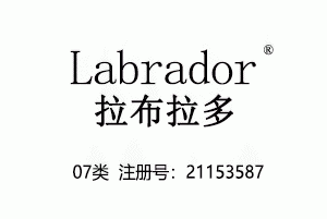 Labrador拉布拉多